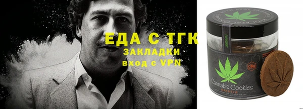 хмурый Аркадак