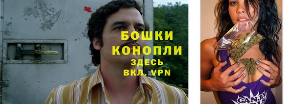 ПСИЛОЦИБИНОВЫЕ ГРИБЫ Армянск