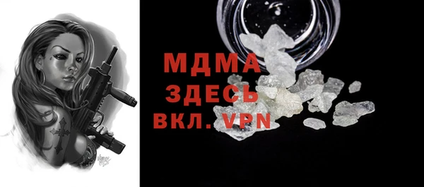 хмурый Аркадак