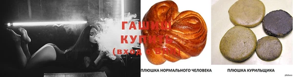 хмурый Аркадак