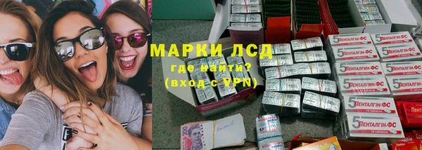 хмурый Аркадак