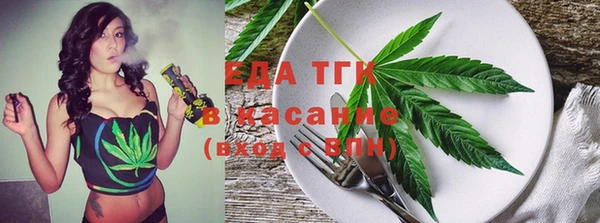 хмурый Аркадак