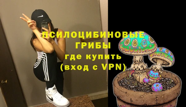 ПСИЛОЦИБИНОВЫЕ ГРИБЫ Армянск